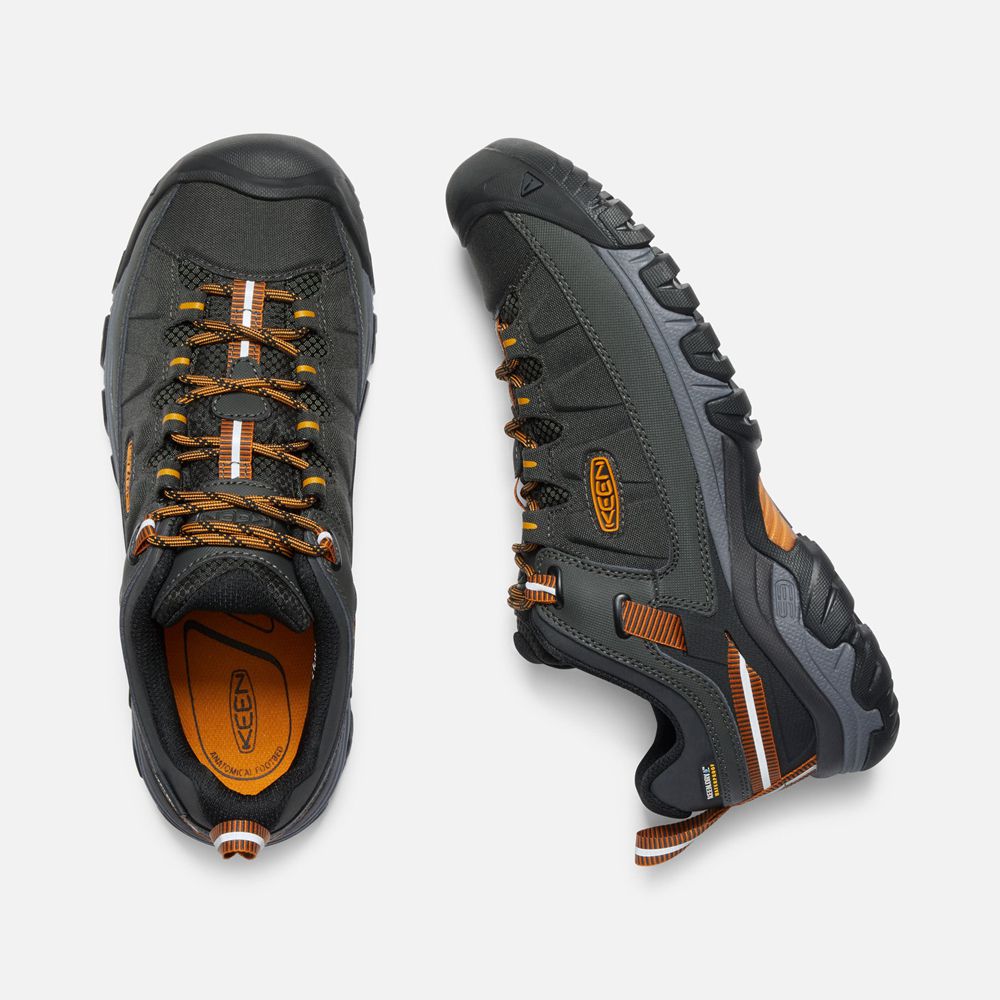 Zapatos de Seguridad Keen Mexico Negros/Dorados - Hombre Targhee Exp Waterproof - PO2835691